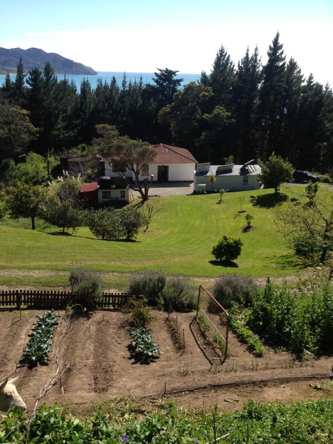 Waipiro Bay Paradise Bed and Breakfast Te Puia Exteriör bild