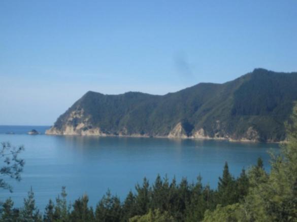 Waipiro Bay Paradise Bed and Breakfast Te Puia Exteriör bild